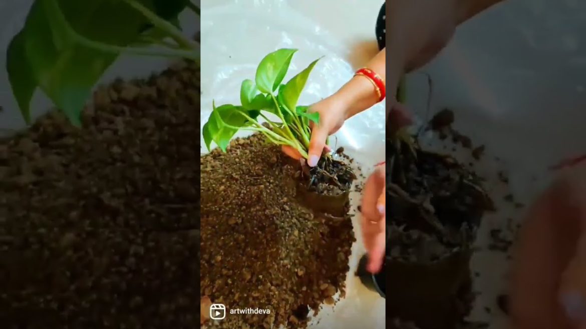 My all Time Favourite Work @art with dEva #shorts #youtubeshort #diy #hobby