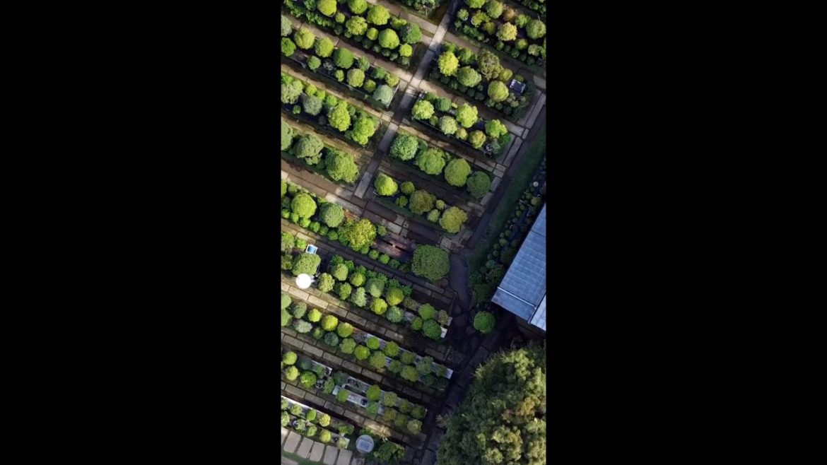 Fuyoen Bonsai Garden #shorts