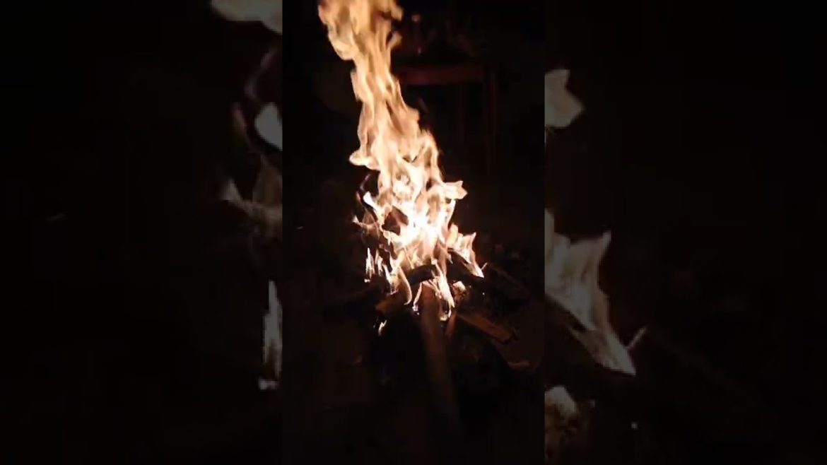 आप लोगों के लिए ठंडी से बचने के लिए आग || #shorts #shortsvideo #short आप लोगों के लिए ठंडी से बचने के लिए आग || #shorts #shortsvideo #short