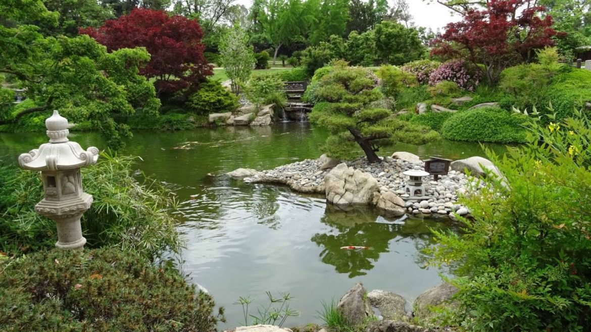Japanese Gardens
