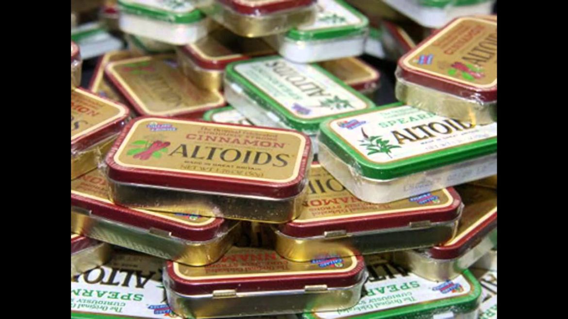 [Garden Ideas] How to make a japanese rock garden