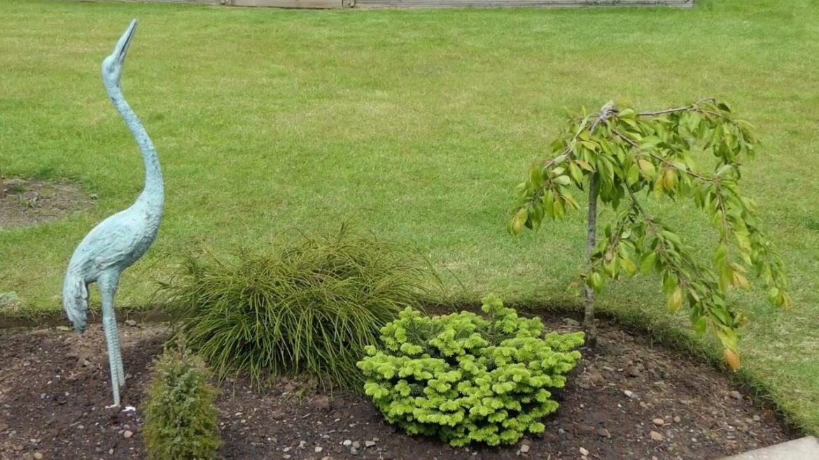 Basic Garden Design Principles