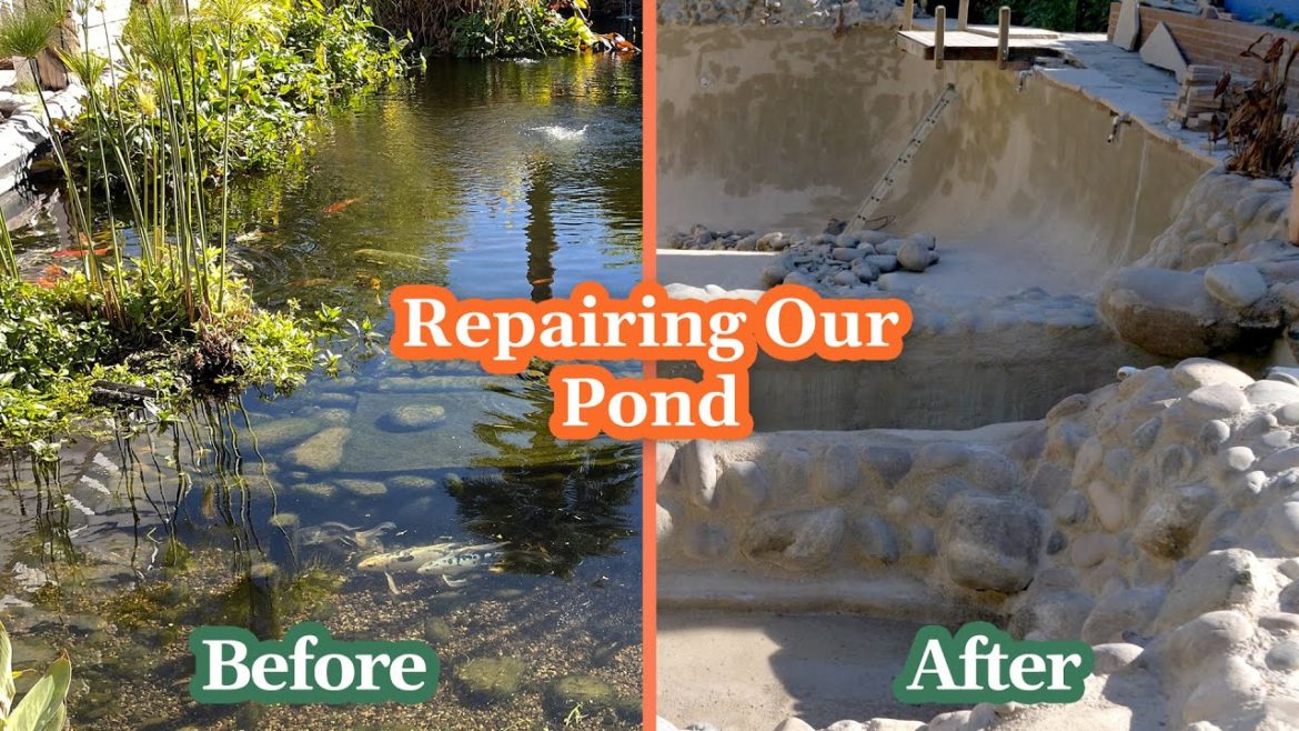 Fixing the Leak in Our Pond | Lynette Zang’s Urban Farm