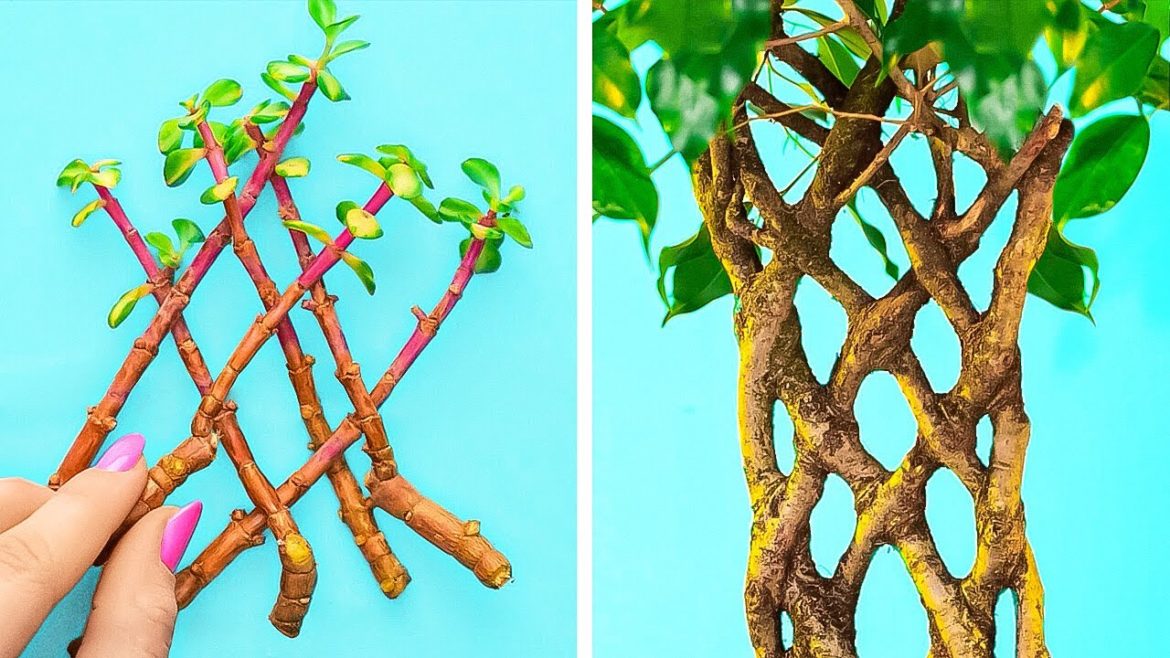 SMART HACKS FOR YOUR PLANT AND HOME GARDEN