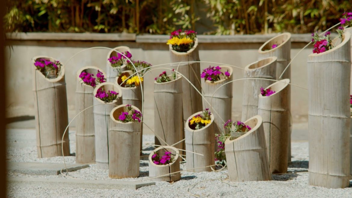 Yume Japanese Gardens of Tucson