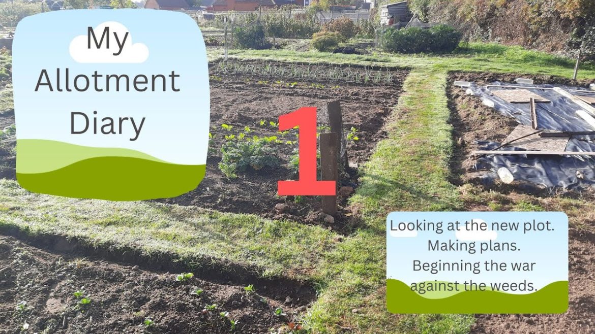 My Allotment Diary. Looking around my new plot. Making Plans. Episode 1.