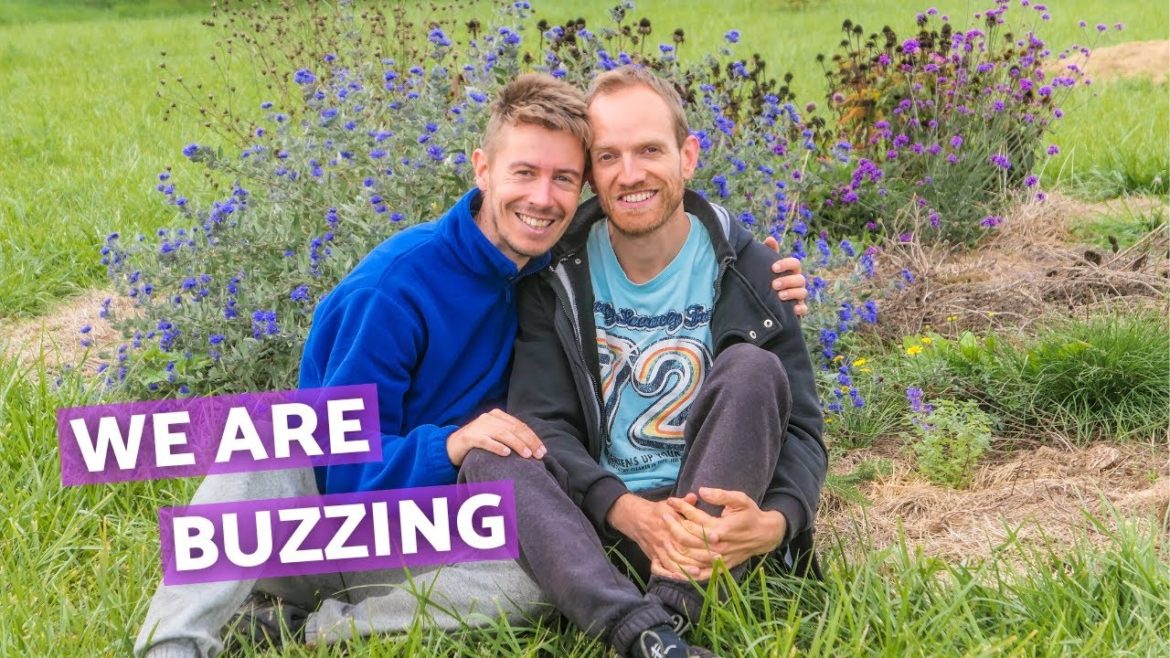 What our natural garden gives us | Stories of early autumn | TheCottageFairy countryside life What our natural garden gives us | Stories of early autumn | TheCottageFairy countryside life