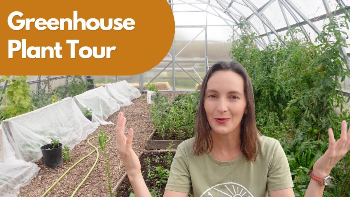 Greenhouse Tour: November Strawberries?! (Fall 2022)