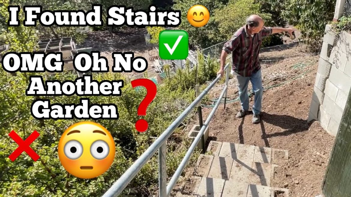 Found a Hidden Garden as I was Gathering Food, NEW PATH to a Gardening Oasis w/ Dragon Fruit & Figs