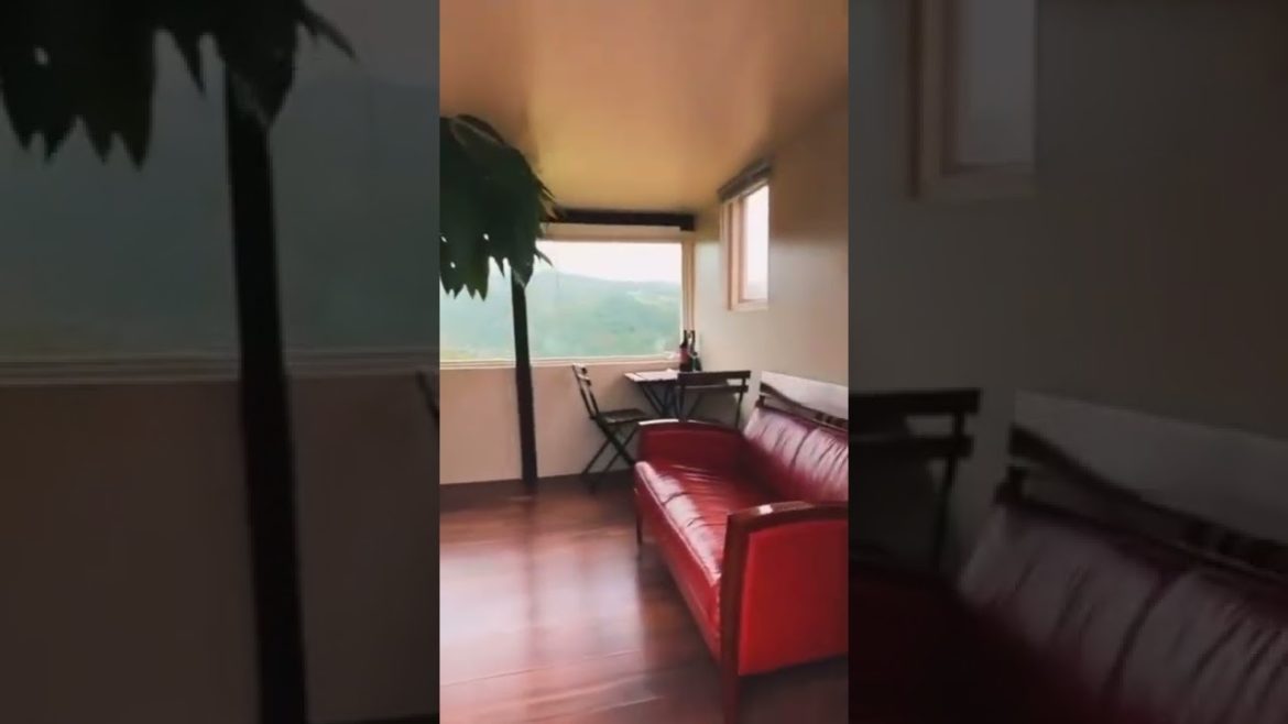 A SIMPLE LIFE IN A BEAUTIFUL TREE HOUSE #shorts A SIMPLE LIFE IN A BEAUTIFUL TREE HOUSE #shorts