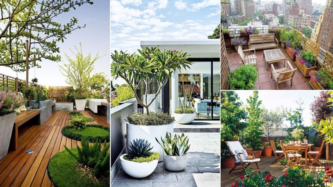 35 Most Essential Rooftop Garden Design Ideas and Tips | DIY Gardening