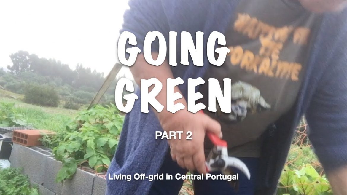 Living Solo OFF-GRID in CENTRAL PORTUGAL / GOING GREEN Part 2