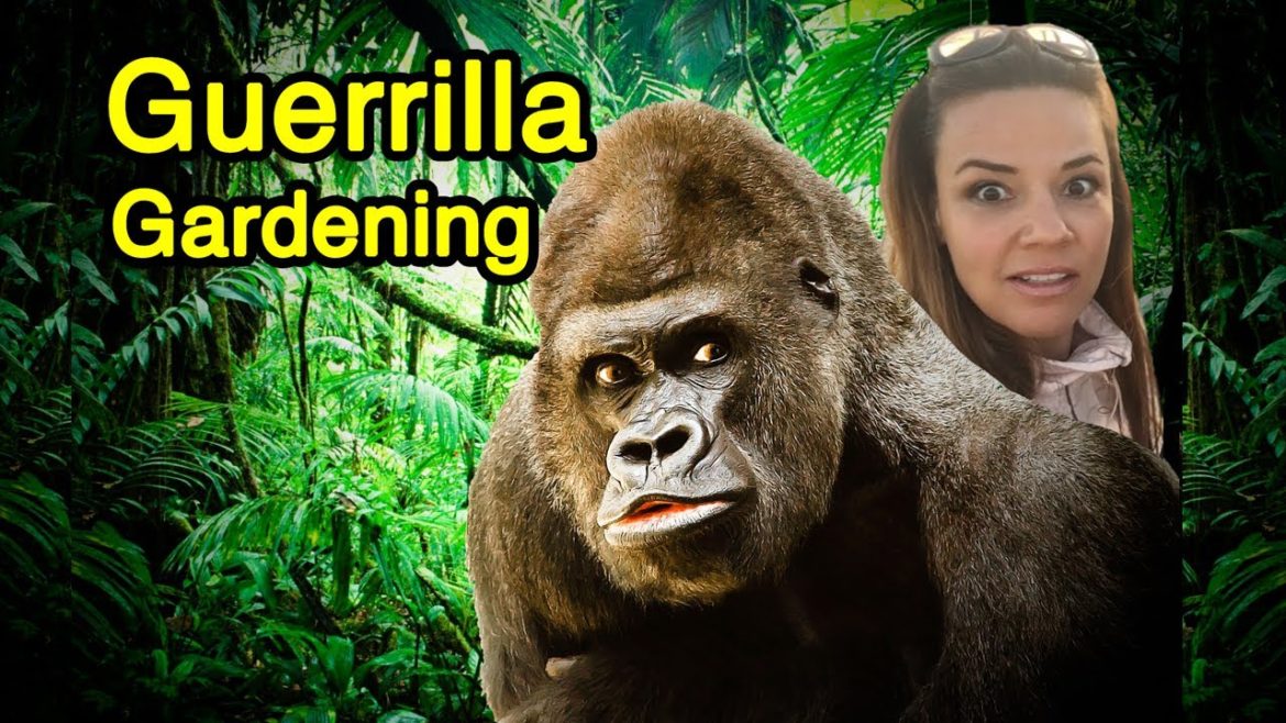 Secret Guerrilla Gardening in Los Angeles Secret Guerrilla Gardening in Los Angeles