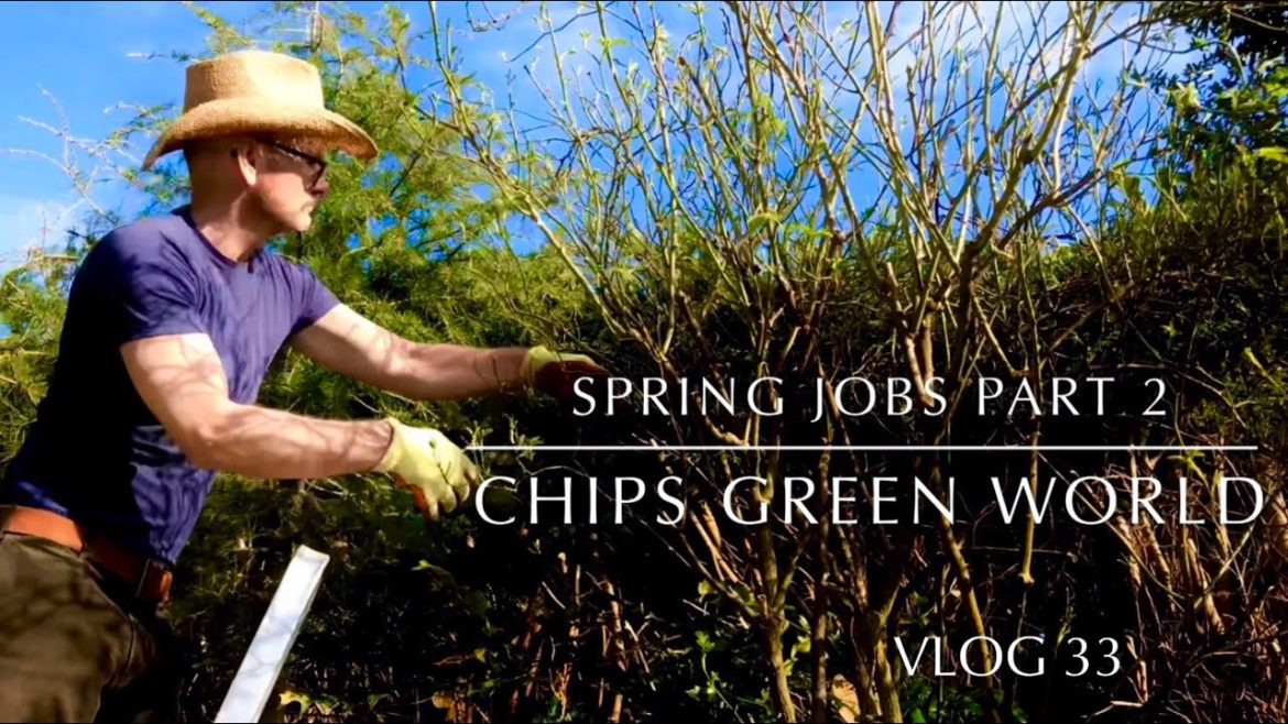 Spring garden tips prune tasks jobs 2022 #springgardening #springgarden #gardening #pruning #spring
