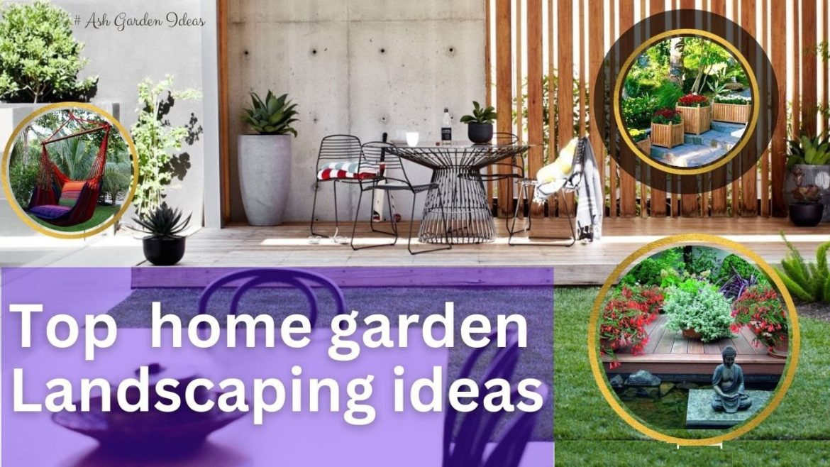 Ash Garden ideas |home garden landscaping ideas |landscaping ideas| Garden Decoration ideas |#garden