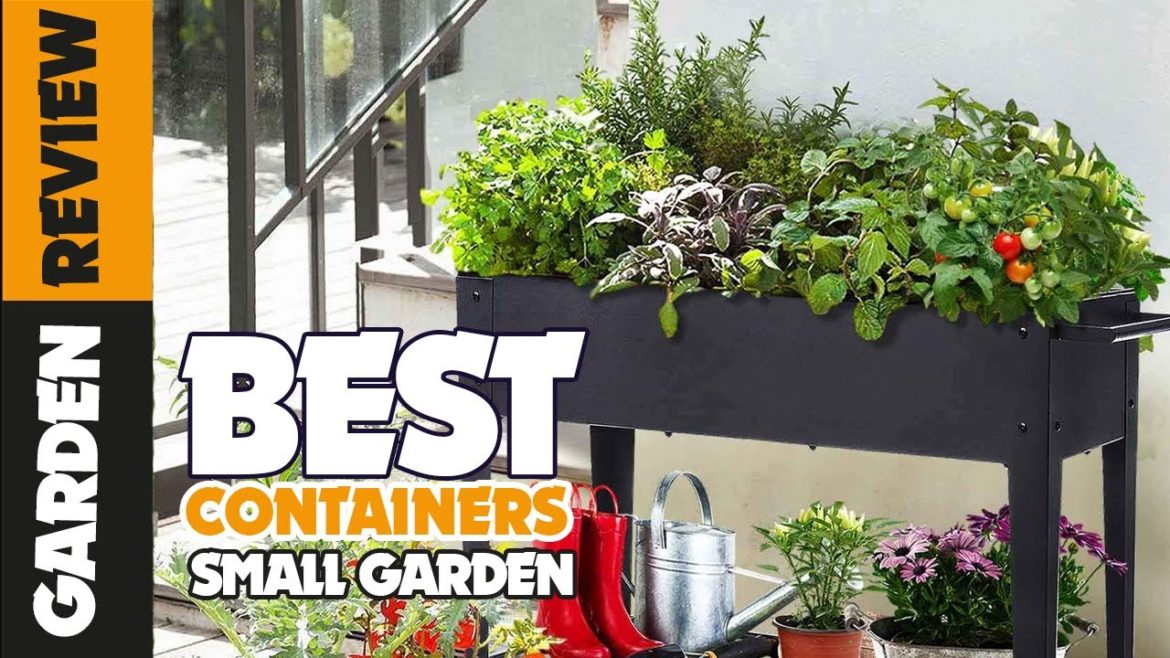 The Best Containers for Small Gardens of 2022 - Garden Review