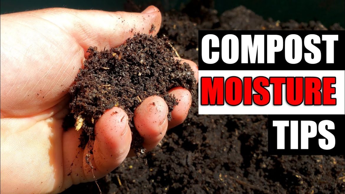 Ideal Compost Moisture – Garden Quickie Episode 106 Ideal Compost Moisture - Garden Quickie Episode 106