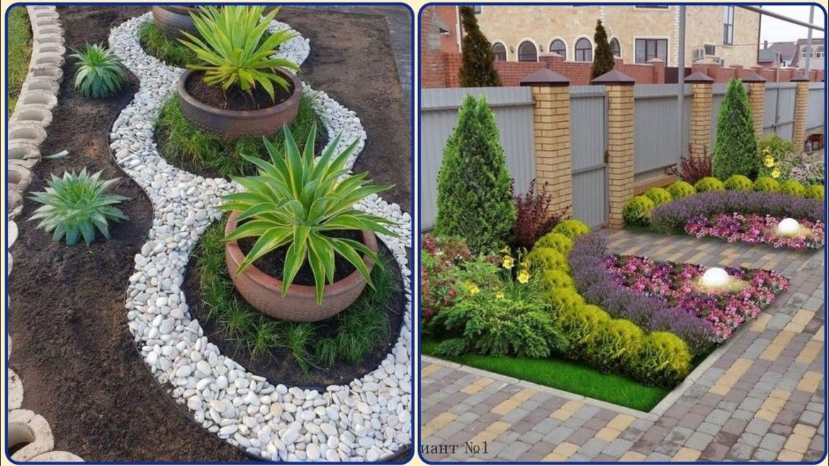 Rocks Garden Inspiration - Backyard Modern Garden Designs