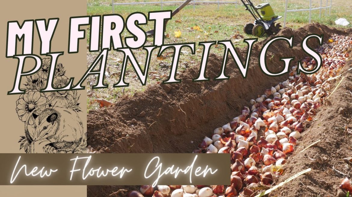 FIRST PLANTINGS IN THE NEW YARD // BARN CLEAN UP – PT. 1 // Flower Garden // Farm Renovation FIRST PLANTINGS IN THE NEW YARD // BARN CLEAN UP - PT. 1 // Flower Garden // Farm Renovation