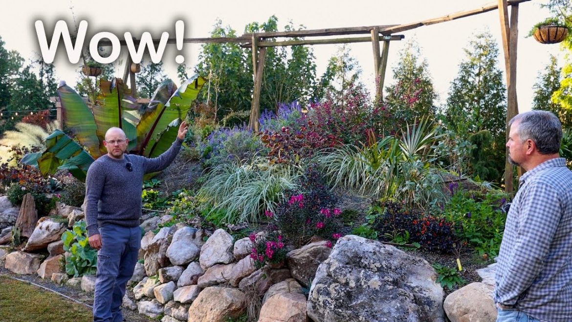 Wow! This turned out great! Wow! This turned out great!