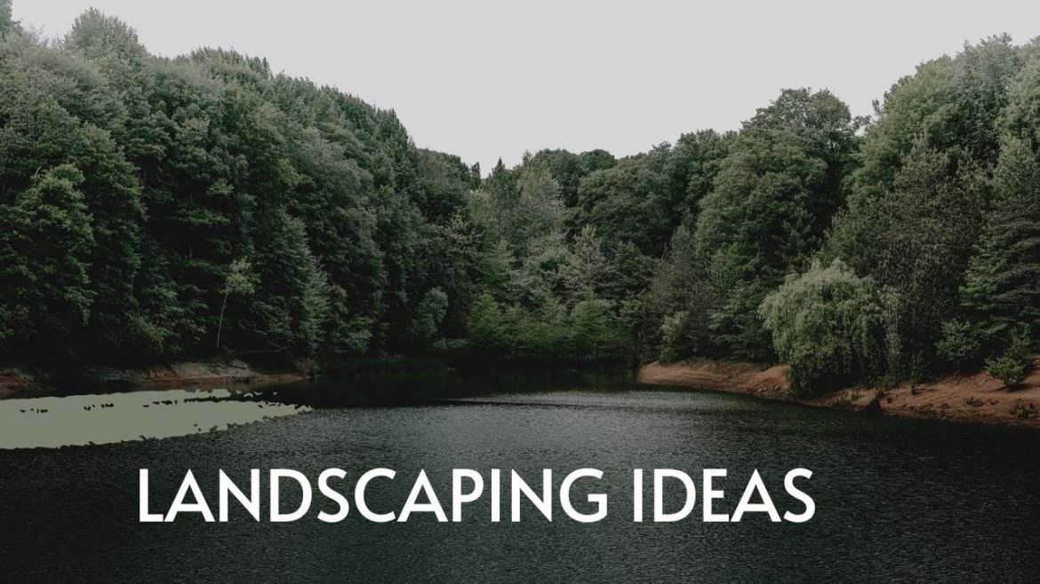 landscaping Ideas