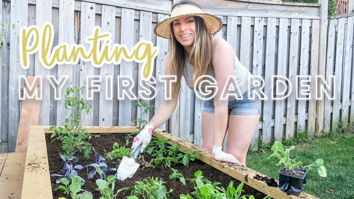 Planting My First Vegetable Garden | Small Backyard Gardening