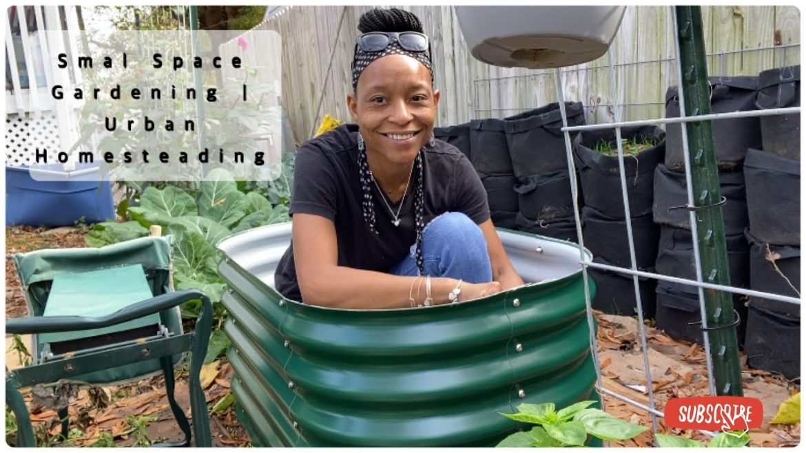 80° + | Planting Garlic, Sifting Compost and More | Fall & Winter Garden Work