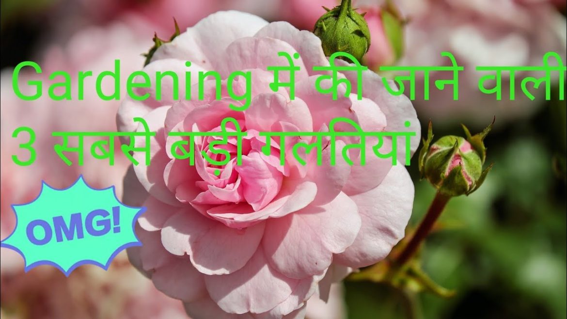 3 big common gardening mistakes // Gardening tips for beginners