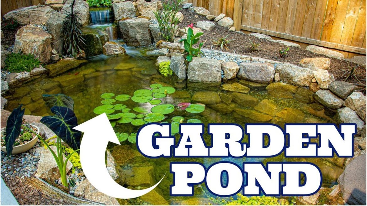 Backyard Garden Pond | Tranquility Deluxe