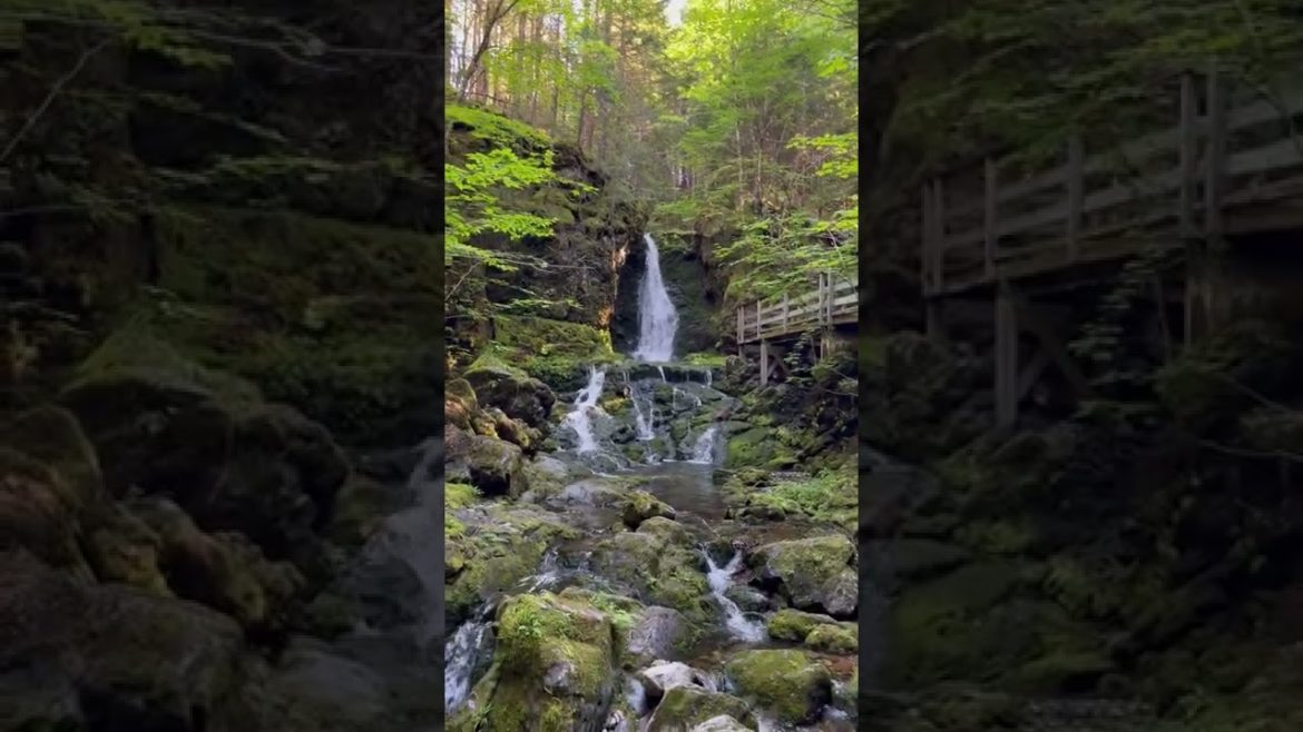 Beautiful Nature and Waterfall | Also for Studying & Focus | White Noise Relaxing River-short video