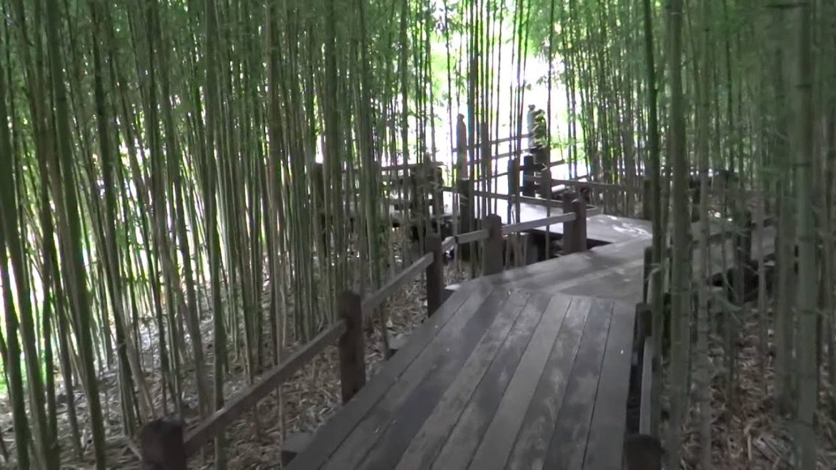 San Marino, California – Huntington Botanical Gardens Japanese Garden HD (2014) San Marino, California - Huntington Botanical Gardens Japanese Garden HD (2014)