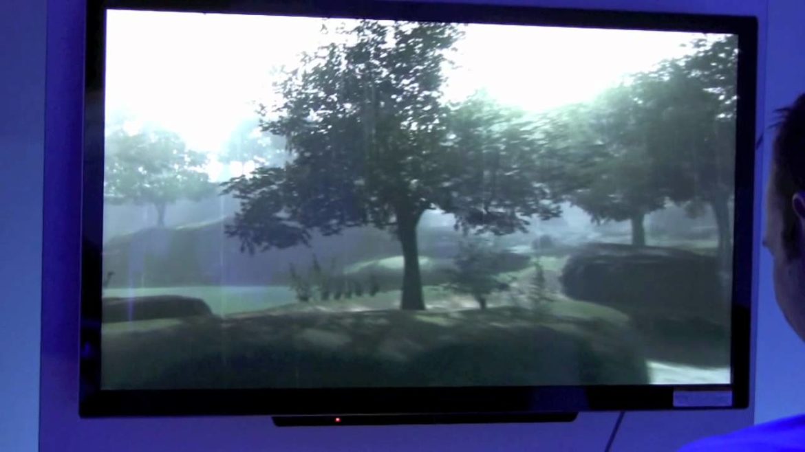 Japanese Gardening Demo Wii U (E3 2011)