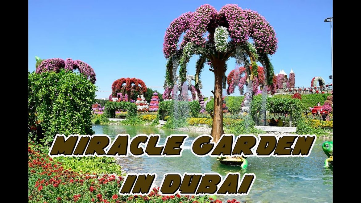 landscape design | Miracle garden in Dubai