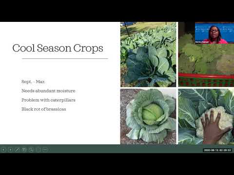 Let's Talk Gardening! Fall Vegetable Gardening – Episode 21 Let's Talk Gardening! Fall Vegetable Gardening - Episode 21