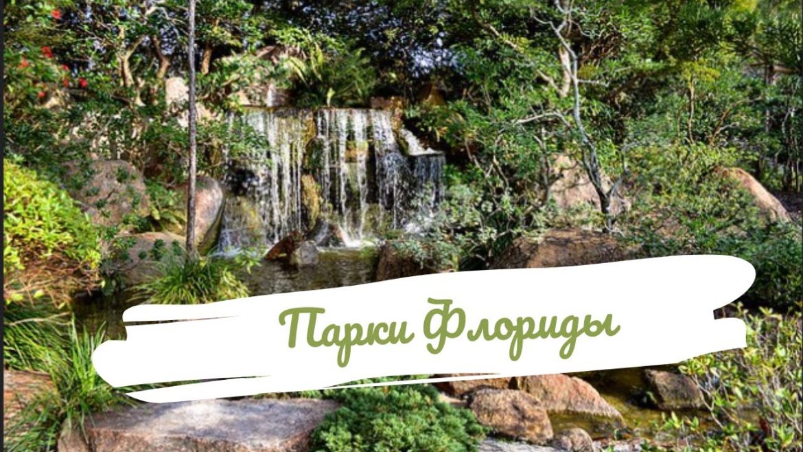 Прогулка по паркам Флориды 💚 The Flamingo Garden and Japanese Garden Прогулка по паркам Флориды 💚 The Flamingo Garden and Japanese Garden