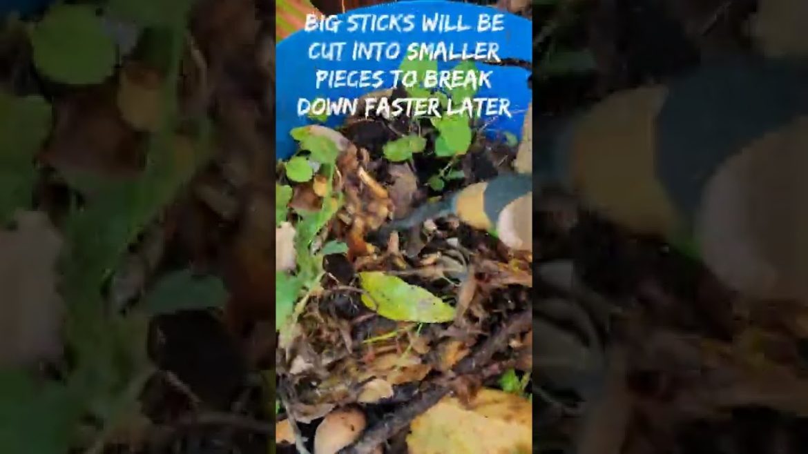 Banana Peel Compost #Shorts #Compost #Gardening