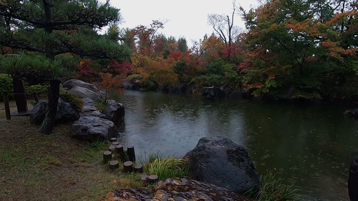 Relax in the autumn rain in Japanese gardens | Autumn rain in the garden sleep study