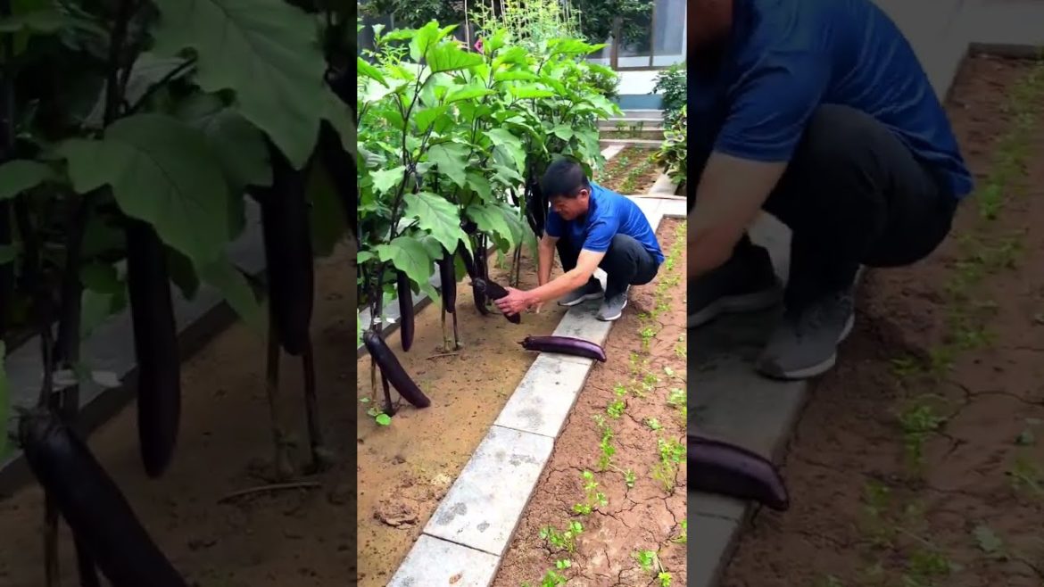 Amazing craft ideas | Creative and useful DIY ideas || #7Craft-DIY