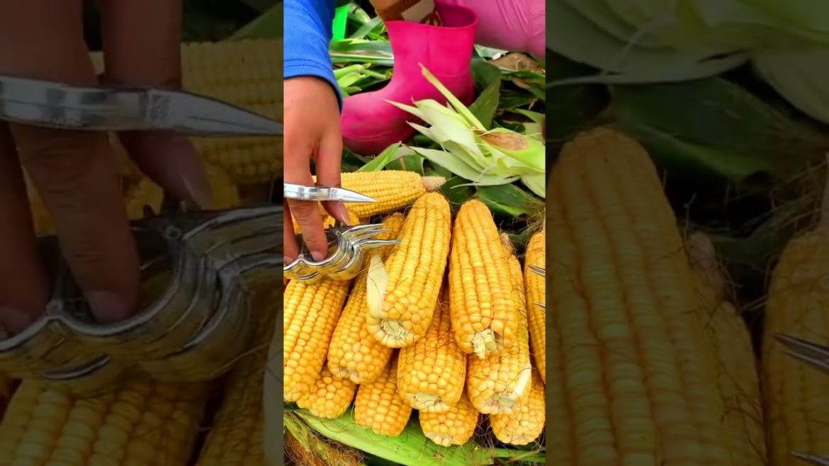 Corn tools #shorts #tips