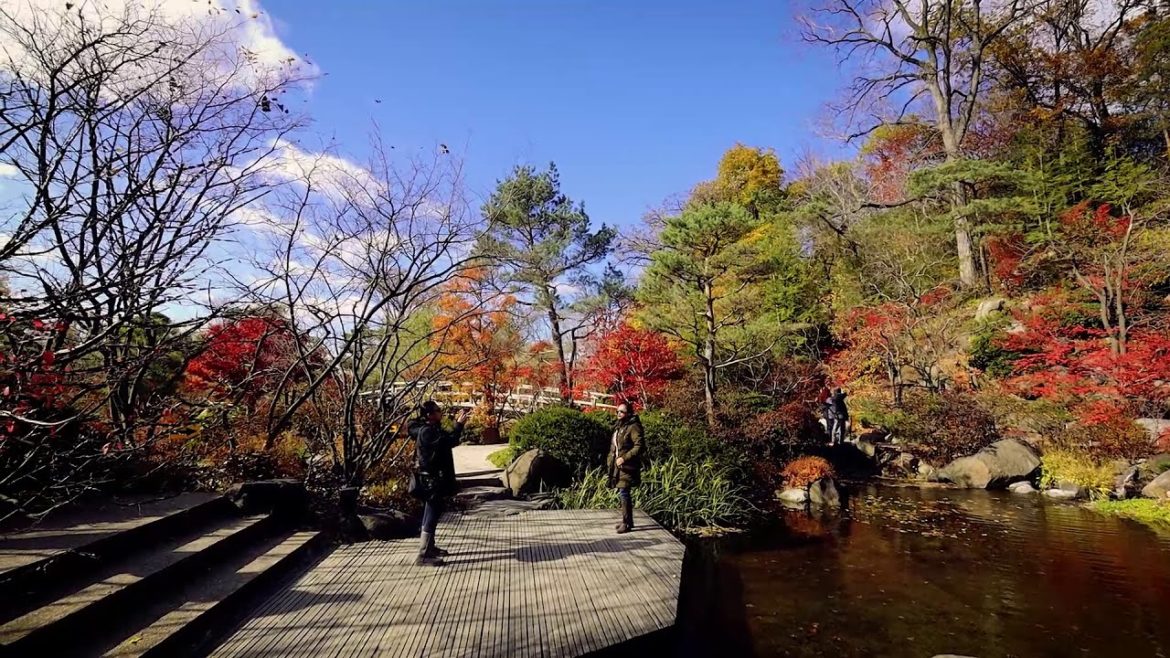Anderson Japanese Gardens in Rockford, Illinois (HD) Anderson Japanese Gardens in Rockford, Illinois (HD)