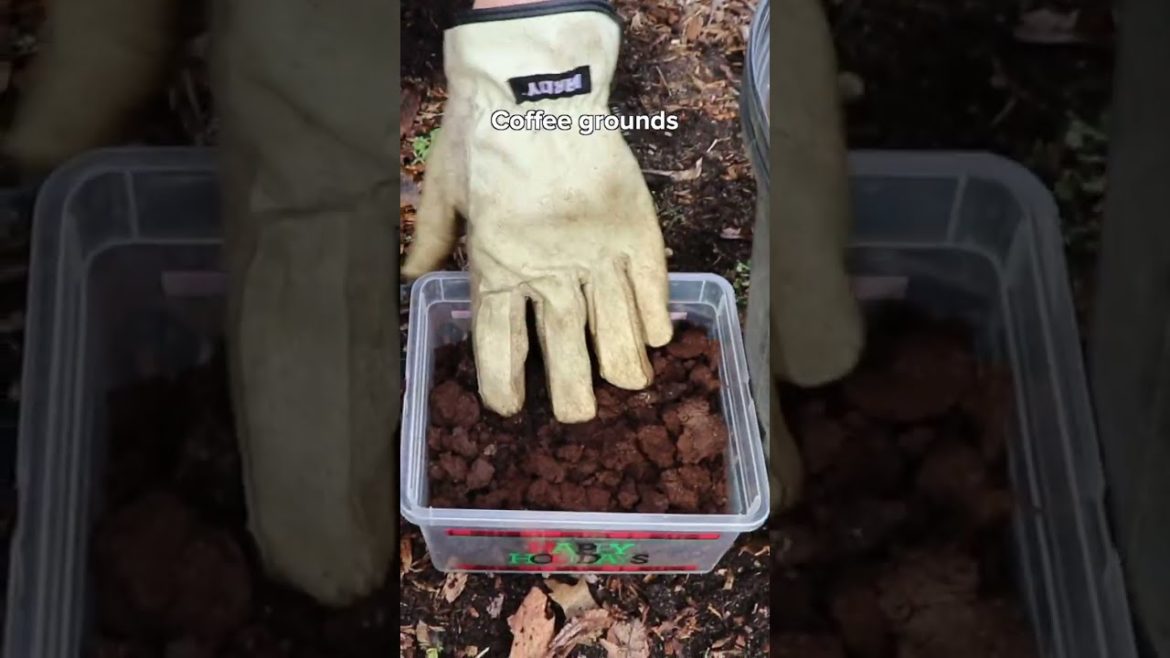 Compost!