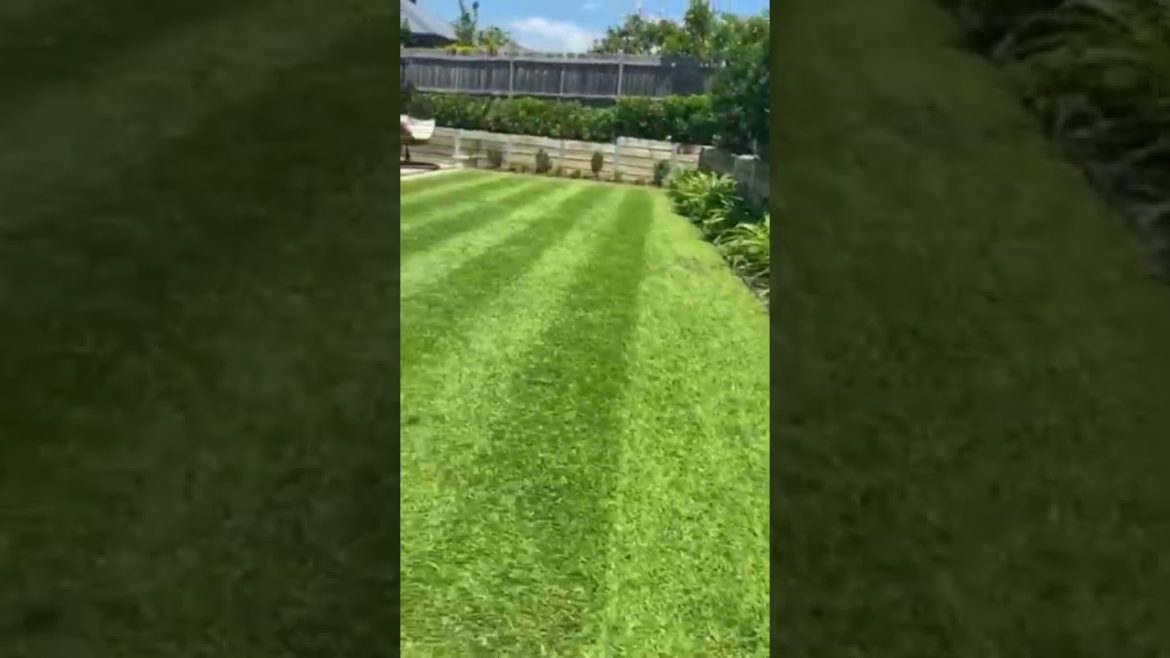 Recipe for lawn success!