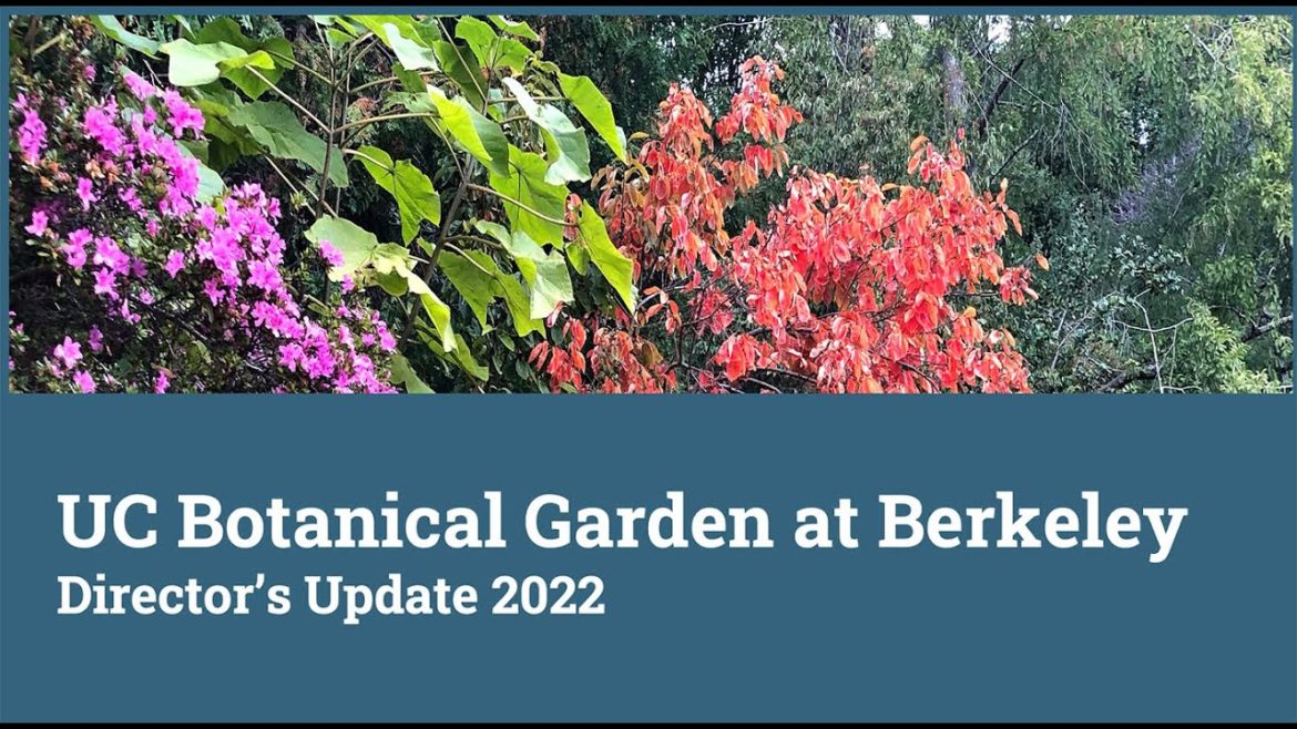 Director's Update with Dr. Lew Feldman