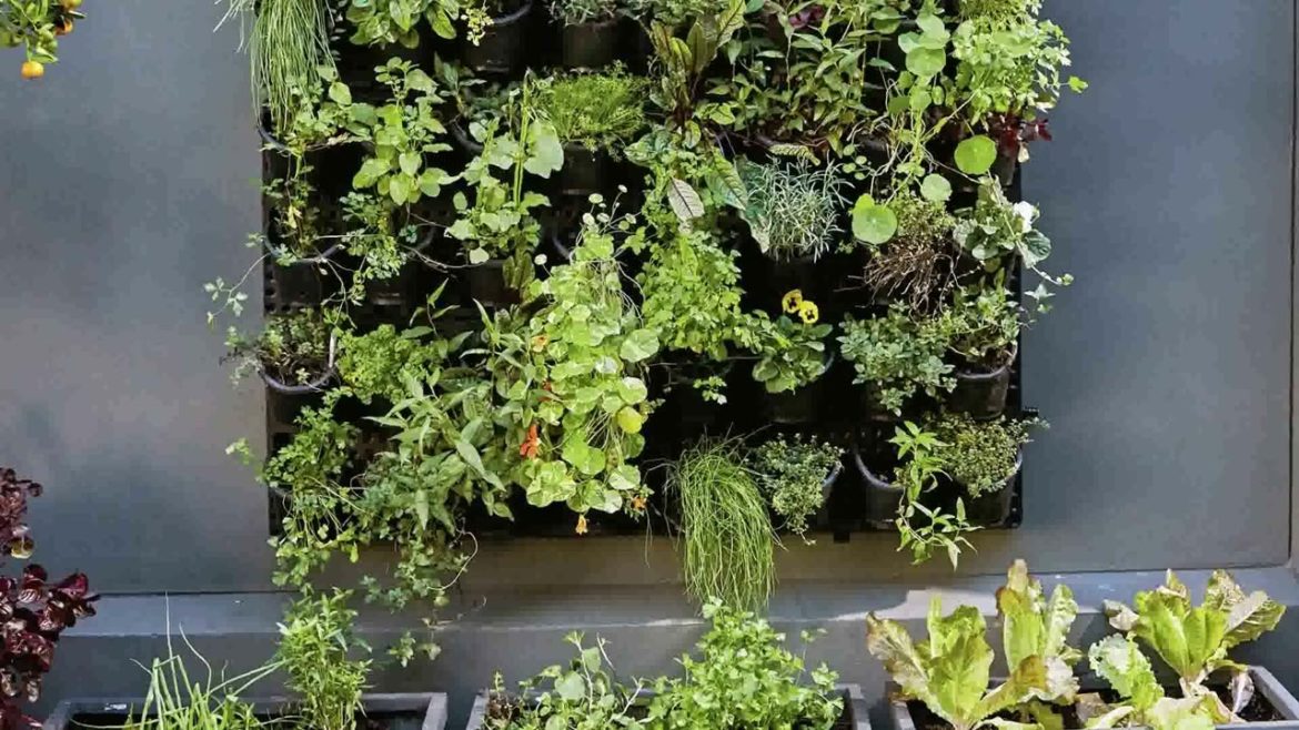 Outdoor Decorating Ideas Australia