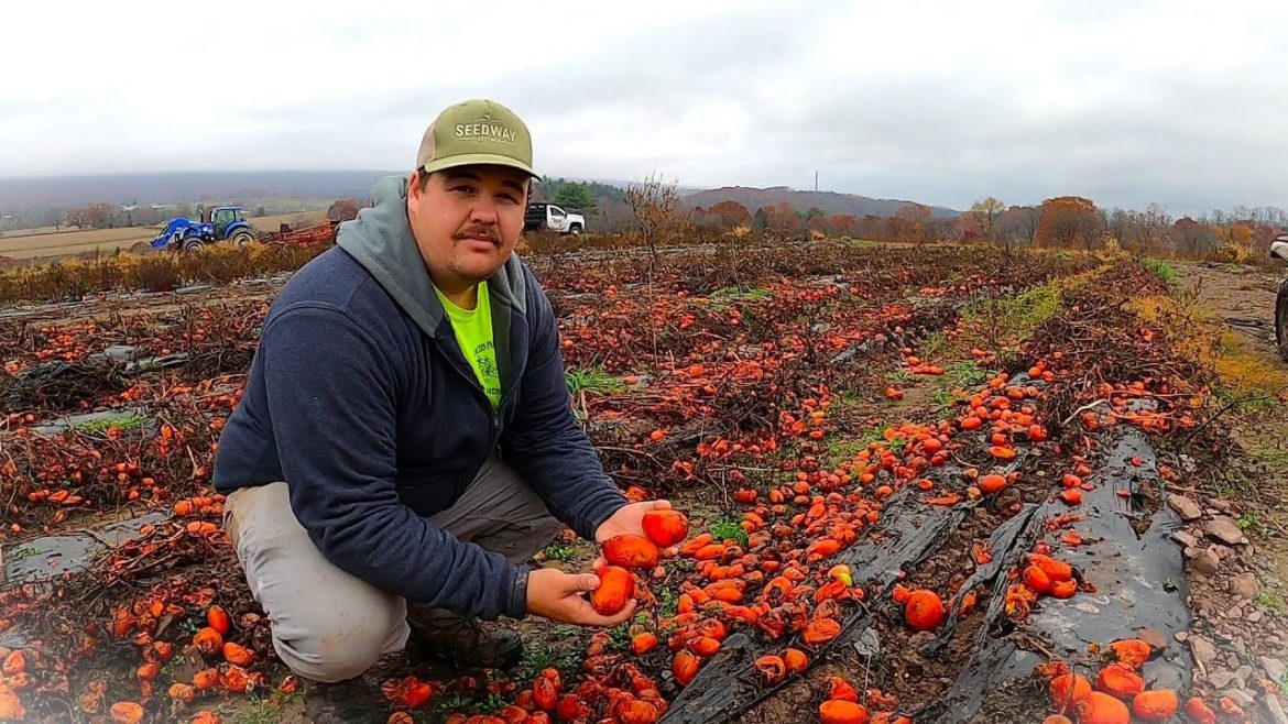 WHAT DID WE DO WRONG