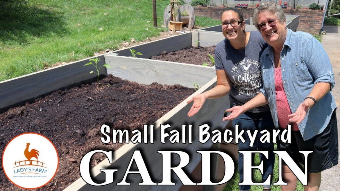 Small Backyard Garden // Fall Garden