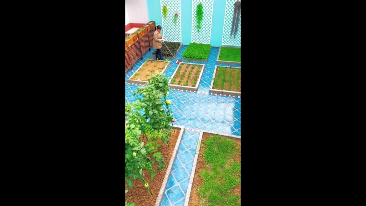 Beautiful Nature with Rural Life #shorts #naturalife #rurallife