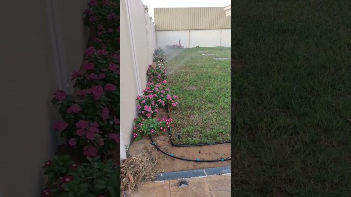 How to start a flower garden at your home || flower Garden idea