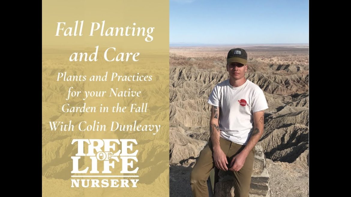 Expert Landscaper's Favorite Native Plants for Fall Expert Landscaper's Favorite Native Plants for Fall