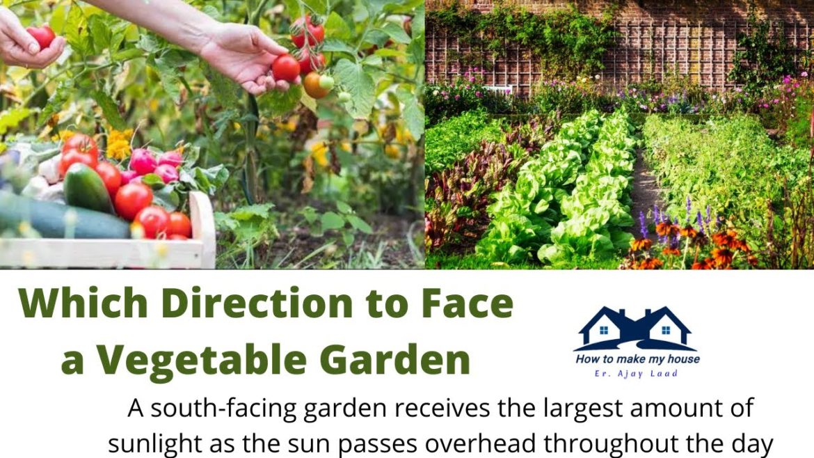 Which Direction to Face a Vegetable Garden | Garden Bed Orientation | Home gardeners Which Direction to Face a Vegetable Garden | Garden Bed Orientation | Home gardeners